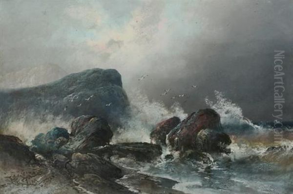Rocky Coast - view 1