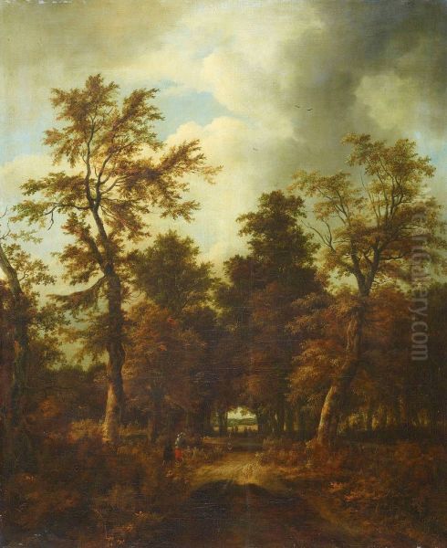 A road through a wood - view 1