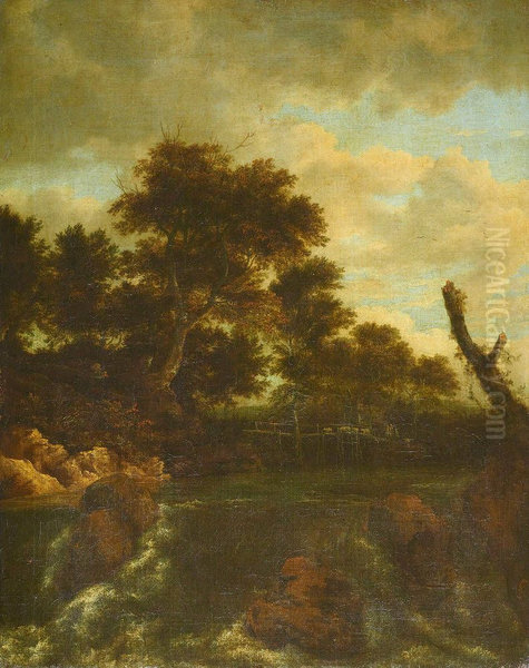 Der Wasserfall mit dem Holzsteg - view 1