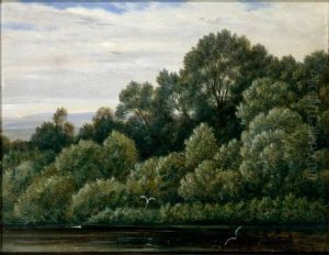 Pfaueninsel (Peacock Island) near Pillnitz