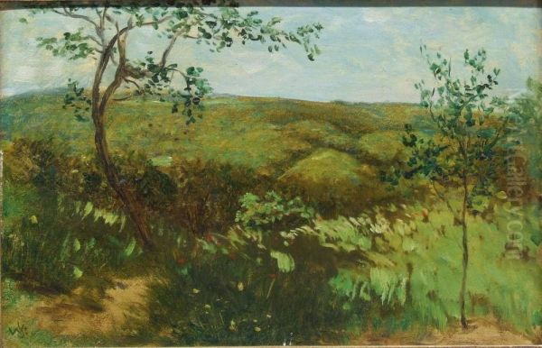 Meadow landscape - view 1