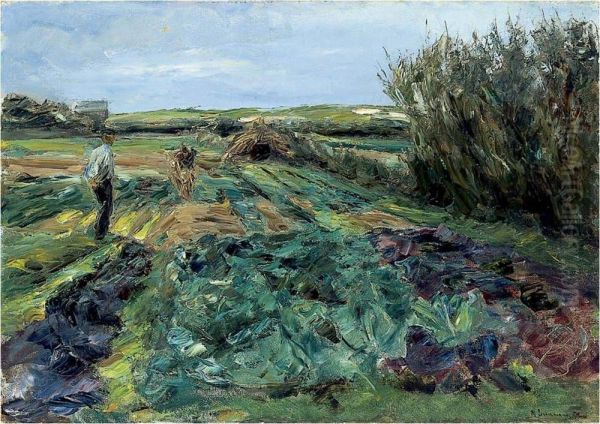 Das Kohlfeld (Kohlfeld in Noordwijk) - view 1