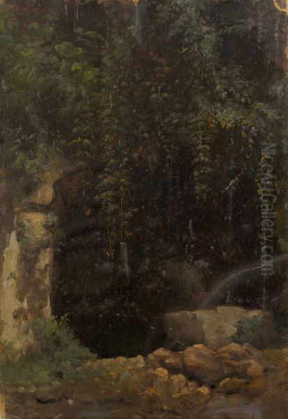 ,,Allikas" - view 1