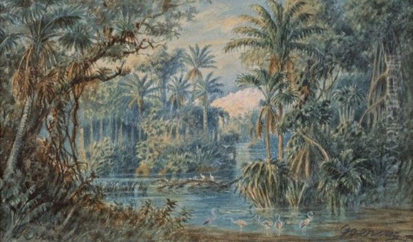 Flamingos en un lago, Venezuela - view 1