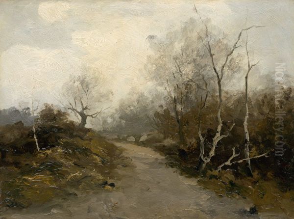 Forest Road - view 1