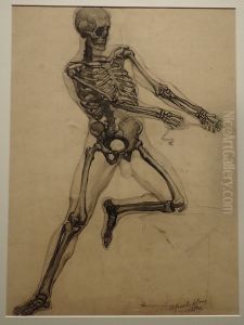 Study of a Skeleton and a Male Nude by Pieter De Josselin De Jong