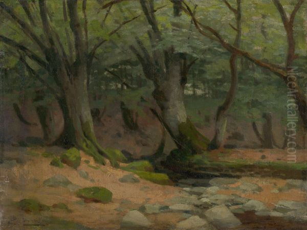 Trees - view 1