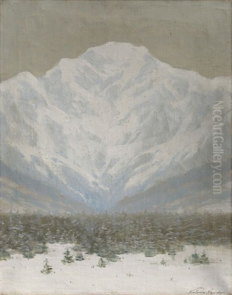 Zimny den vo Vysokych Tatrach - view 1