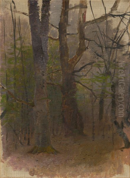 Early Spring. Forest - view 1