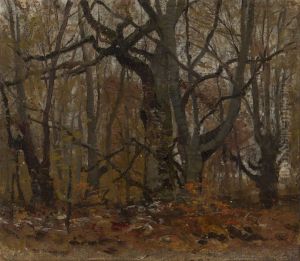 Autumn Forest Autumn Forest