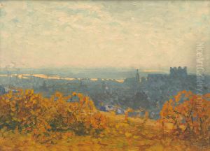View of Bratislava by Jindrich Tomec