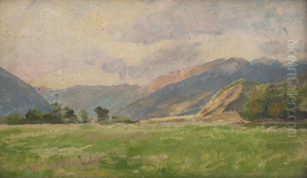 Mountain Meadow - view 1