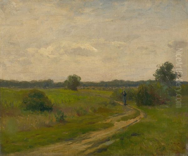 Summer Landscape - view 1