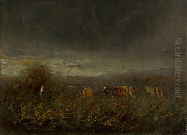 Evening at the Pasture - view 1
