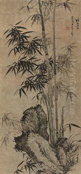 Bamboo - view 1