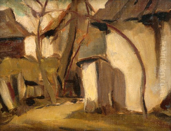 Dedinsky dvor - view 1