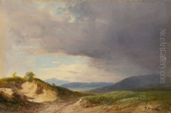 Hilly Landscape with Cloudy Skies - view 1
