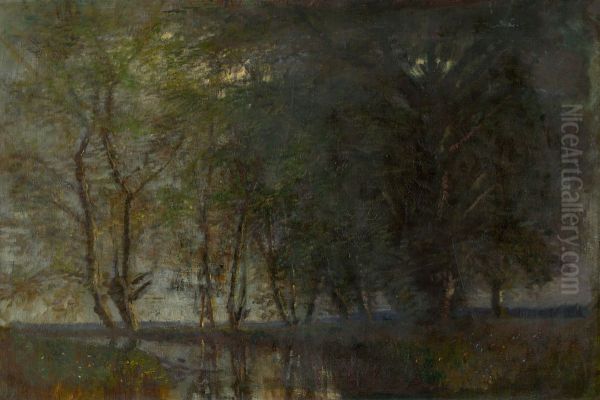 Trees by the Vah - view 1