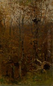 Autumn Hardwood Forest Autumn Hardwood Forest