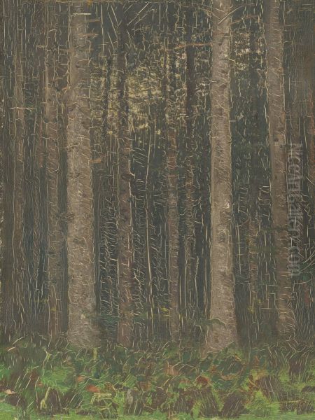 Forest Interior - view 1