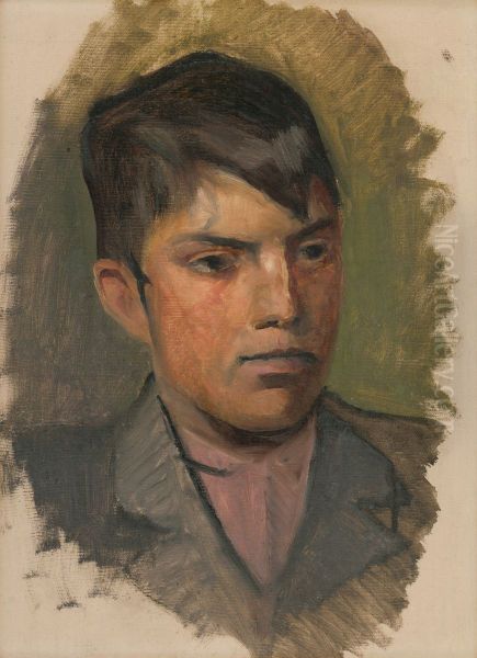 Head Study of a Boy in a Pink Shirt - view 1