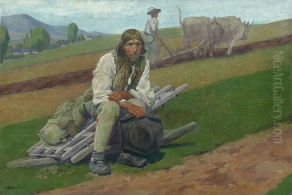 Native Land - view 1