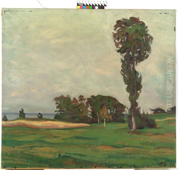 ,,Maastik" - view 1