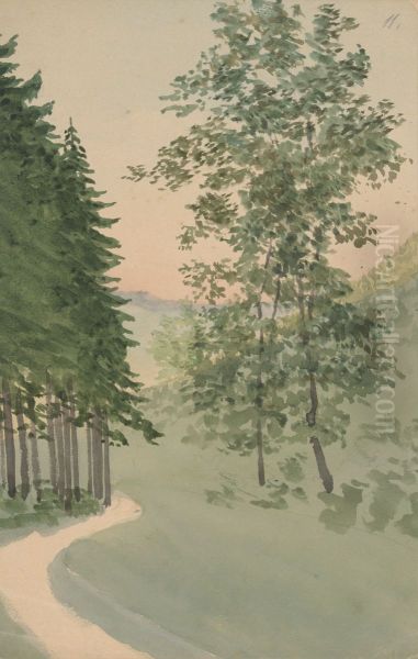 Mountain Path - view 1
