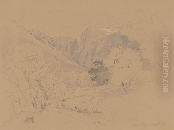 Valley - view 1