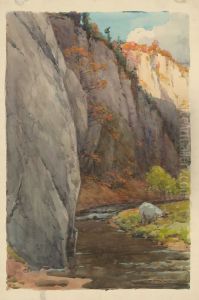 Rocks above the Brook