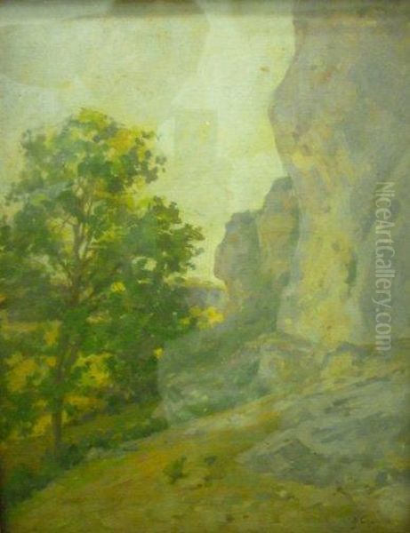 Arbre Et Falaise - view 1