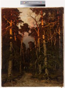 Pine Forest Motiv