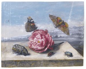 Butterflies and beetles around a rose on a stone ledge by Margareta de Heer