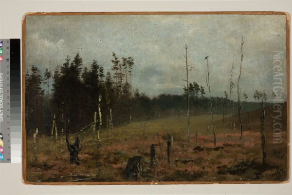,,Polenud mets" - view 1