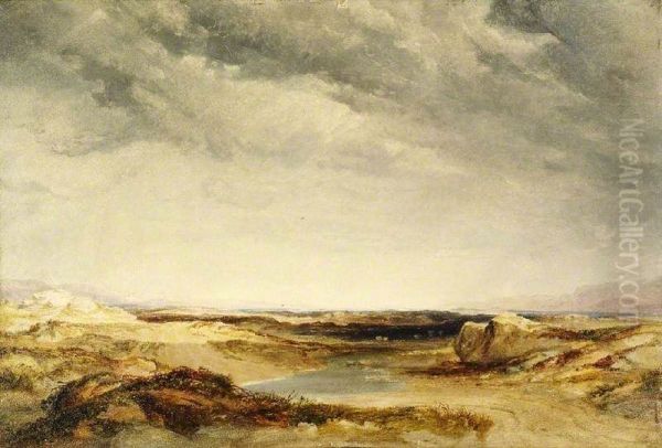 A Heath near the Coast - view 1