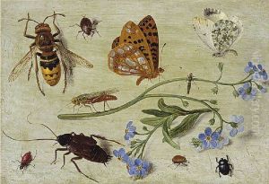 Insects by Jan van Kessel the Elder