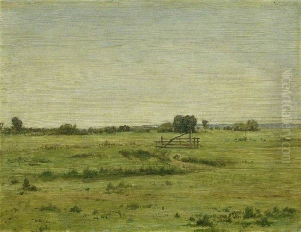 The Plain of Chailly - view 1