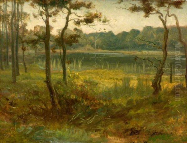 Landscape - view 1