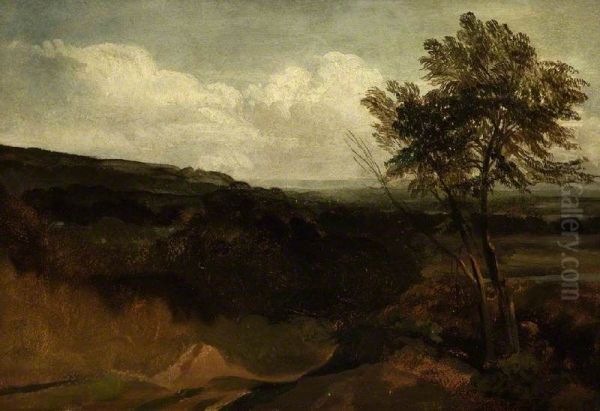 Landscape Study - view 1