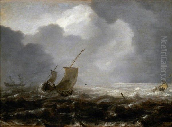 A Fishing Pink on a Windy Day - view 1