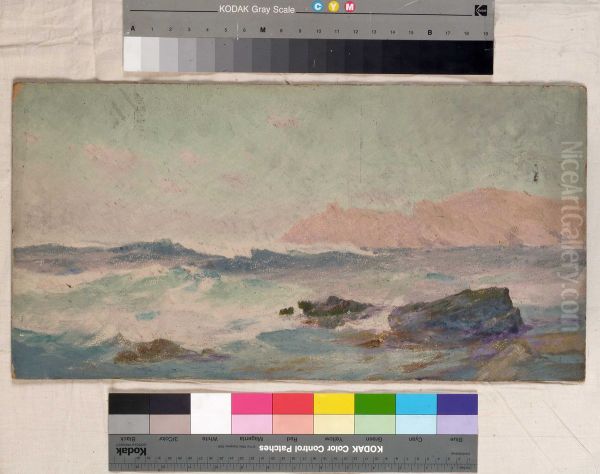 A coastal scene - view 1