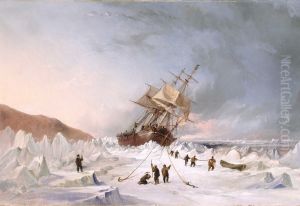 HMS 'Assistance' in the ice by Thomas Sewell Robins