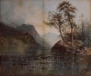 Adirondack Scene With Waterlilies