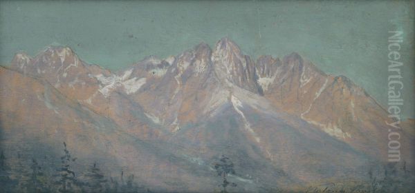 Pohlad na Vysoke Tatry - view 1