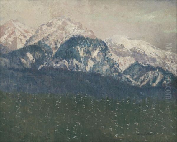 Pohlad na Vysoke Tatry - view 1