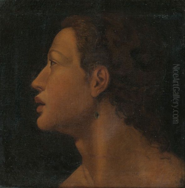 Tri Gracie vyucuju Cupida - detail - view 1