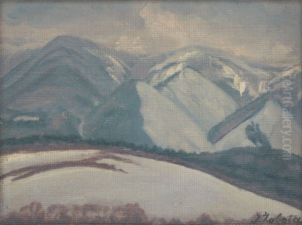 Zasnezene hory - view 1