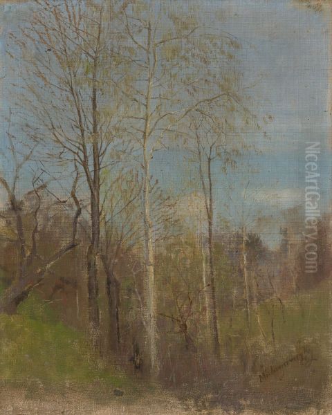 Jarny motiv - view 1