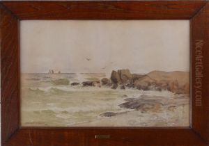 On The Coast - Cape Ann