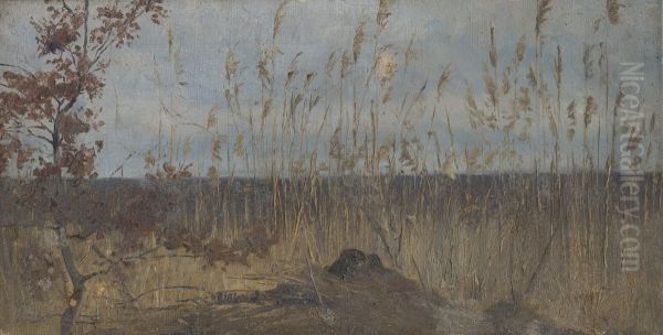 Studia krajiny v okoli mocariska - view 1